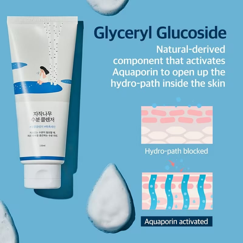 ROUND LAB - Birch Juice Moisturizing Cleanser